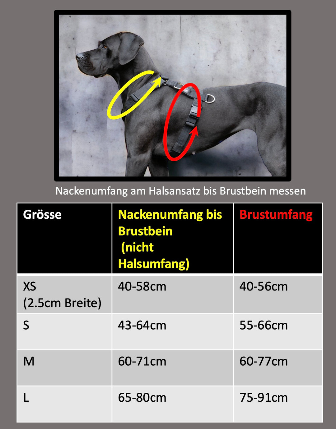 3Point Brustgeschirr On Duty No-Pull Haken