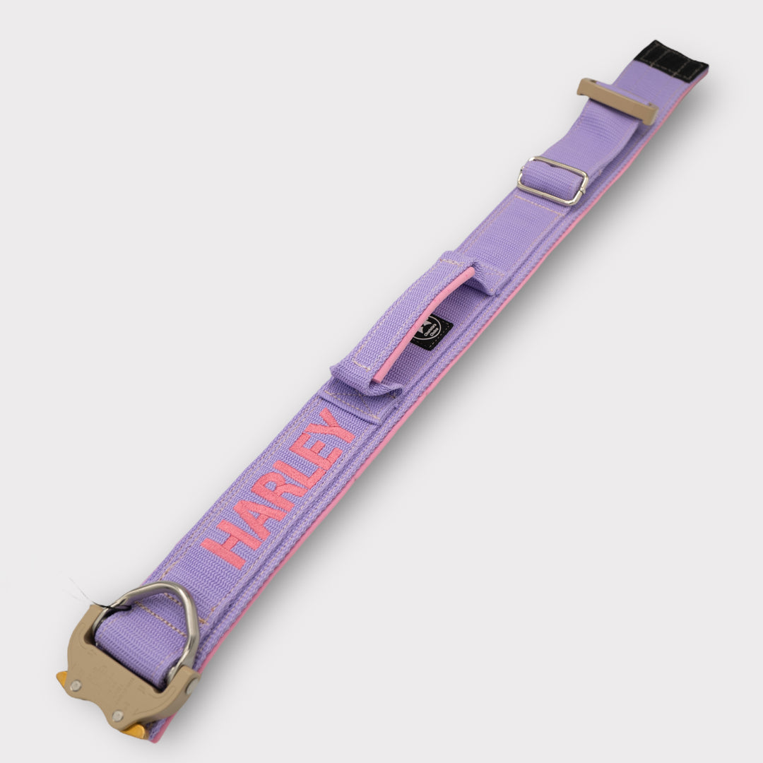 Luxus Heavy Duty Halsband 5 cm /7 cm/ 10 cm für grosse Hunde (zusätzliche Polster-Unterlage)