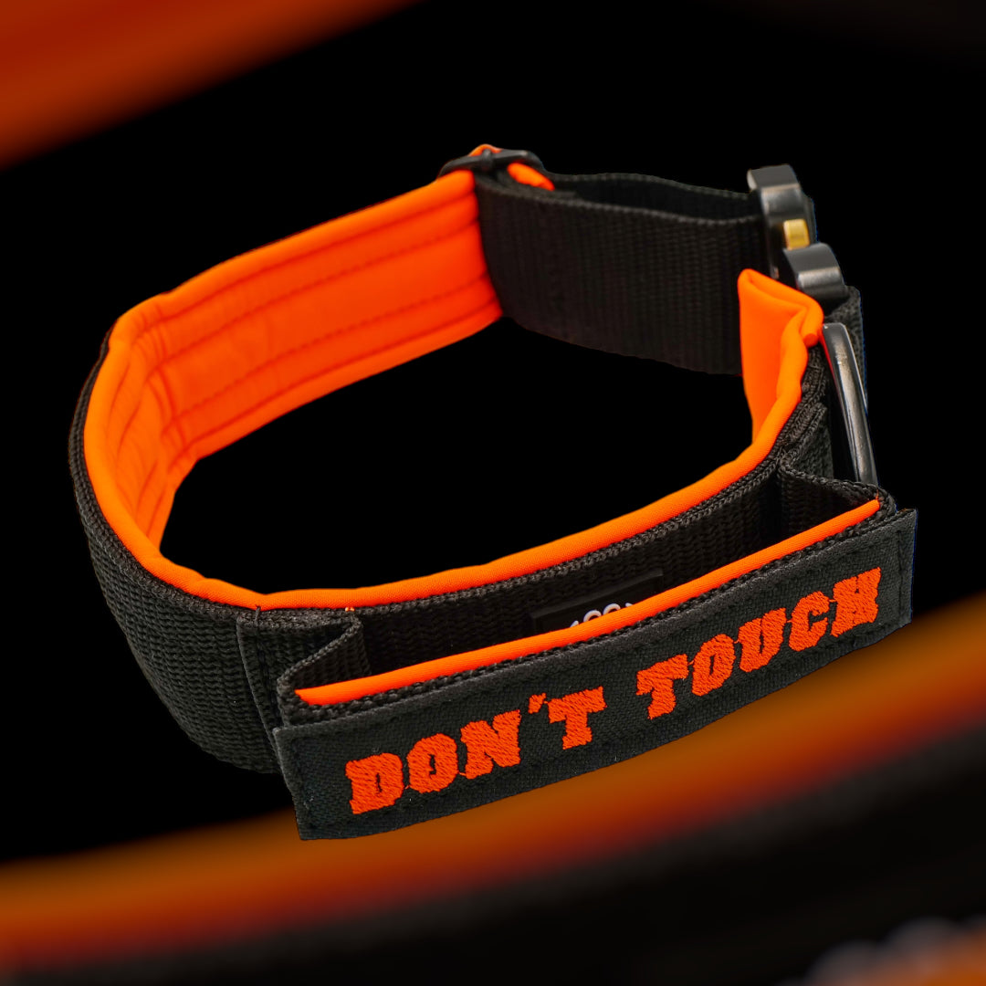 On Duty Halsband Don't Touch 4 cm breit (45 cm-60 cm) - schwarz/orange