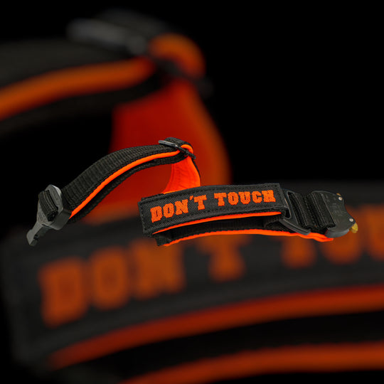 On Duty Halsband Don't Touch 4 cm breit (45 cm-60 cm) - schwarz/orange