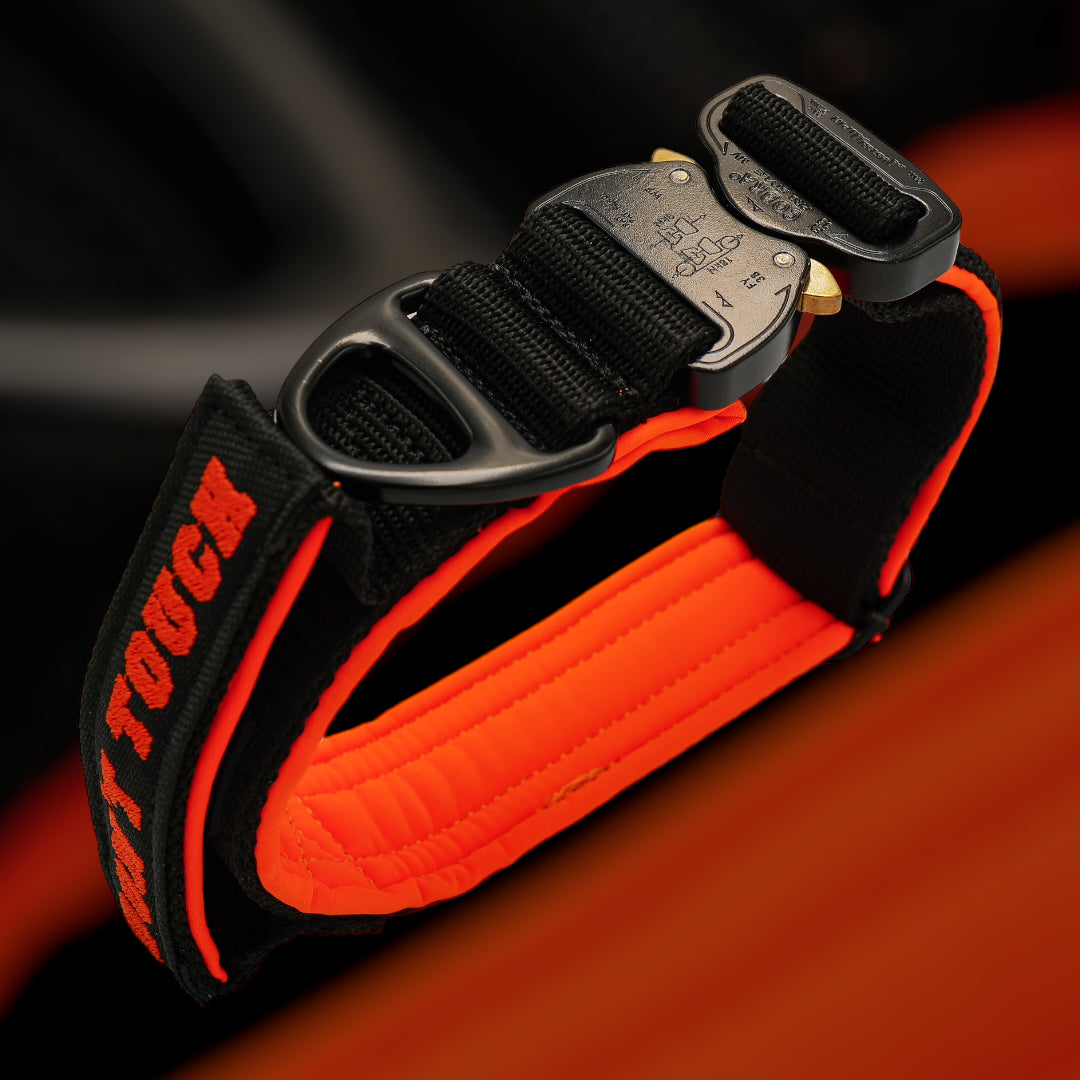 On Duty Halsband Don't Touch 4 cm breit (45 cm-60 cm) - schwarz/orange