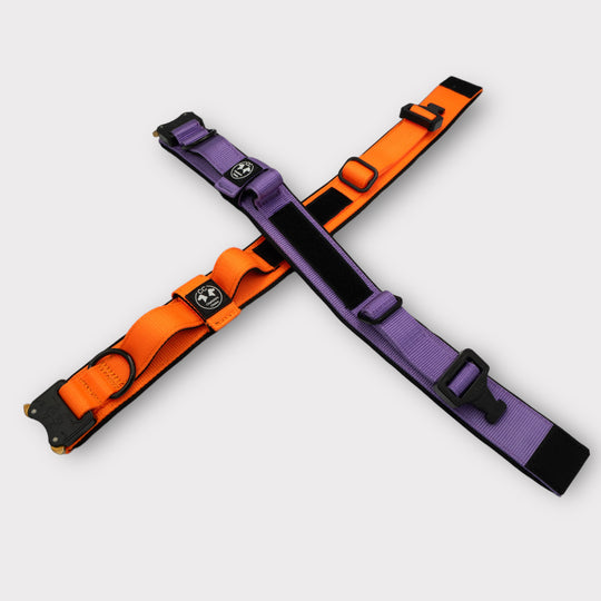 Tac Team Pro Cobra 4 cm breit (33 cm-59 cm)
