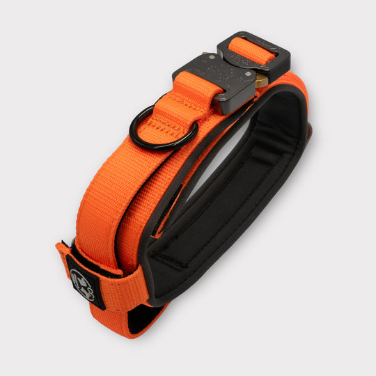 Tac Team Pro Cobra 4 cm breit (33 cm-59 cm)