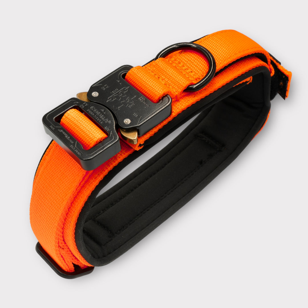 Tac Team Pro Cobra 4 cm breit (33 cm-59 cm)