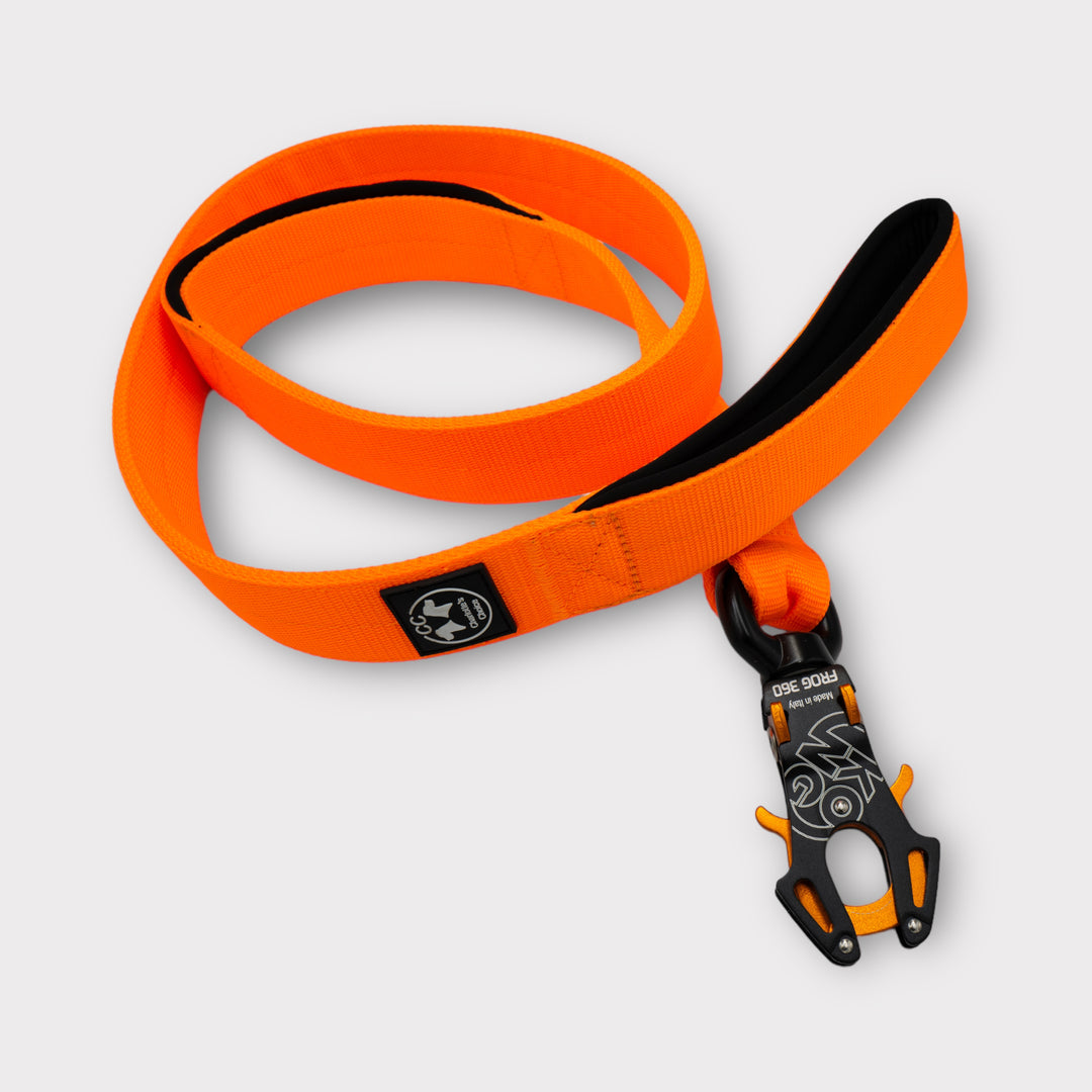 4 cm breite Leinen mit Frog 360 personalisiert