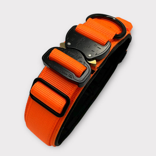 Tac Team Pro Cobra 5 cm breit (34 cm-60 cm)