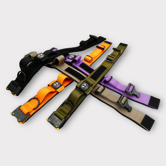 Tac Team Pro Cobra 4 cm breit (33 cm-59 cm)