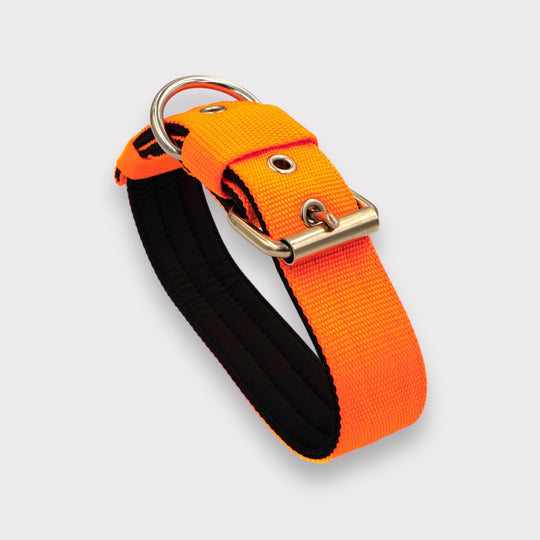 Walker 4 cm breit Grösse S-XL (33 cm-66 cm)