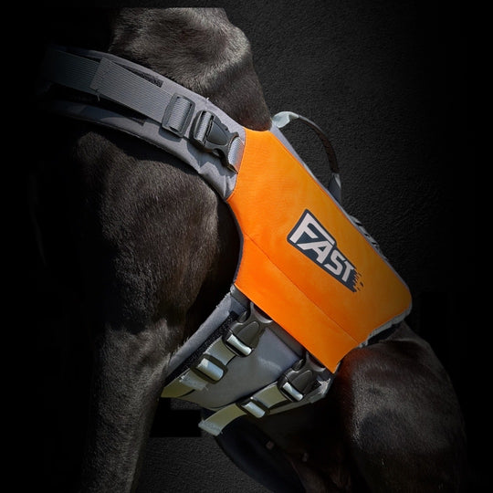 SALE %%% Schwimmweste für Hunde
