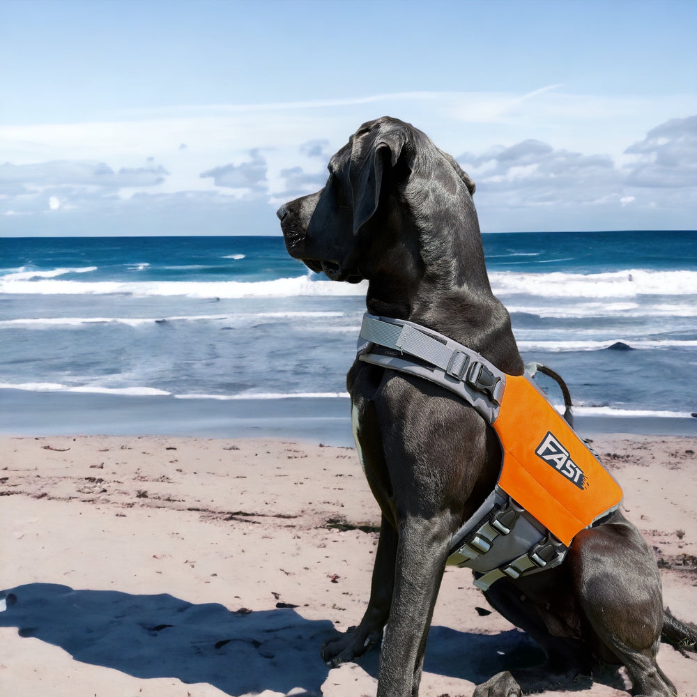 SALE %%% Schwimmweste für Hunde