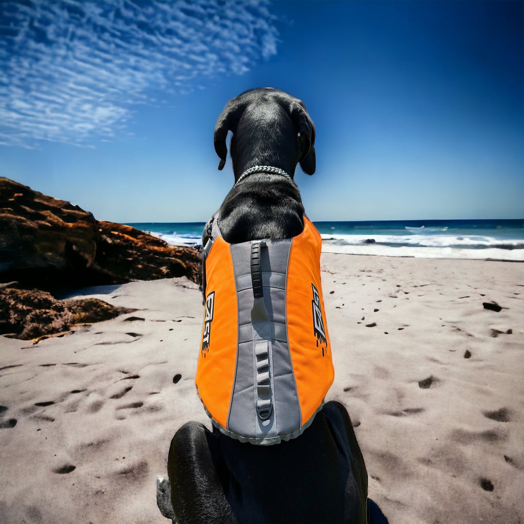 SALE %%% Schwimmweste für Hunde
