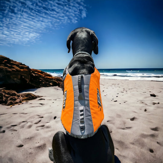 SALE %%% Schwimmweste für Hunde