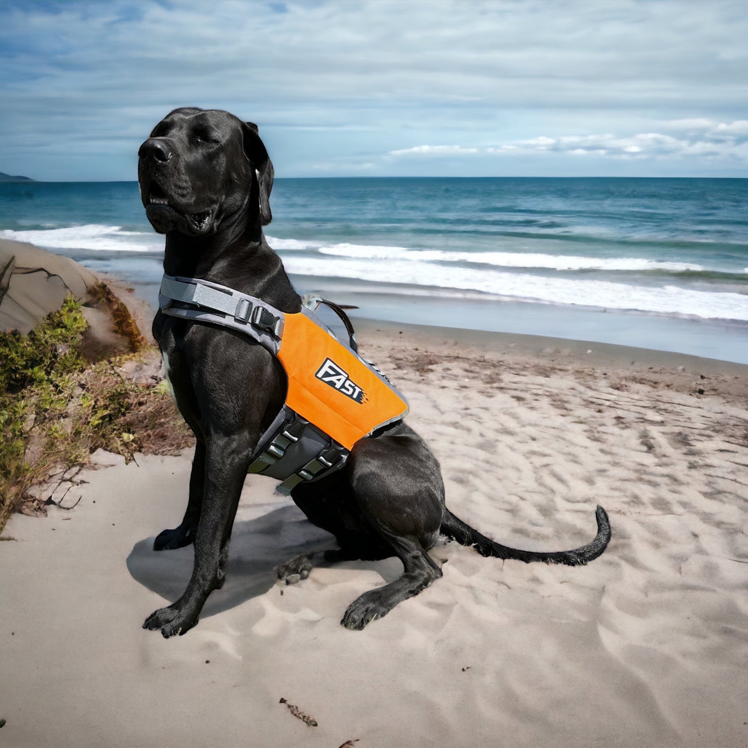 SALE %%% Schwimmweste für Hunde