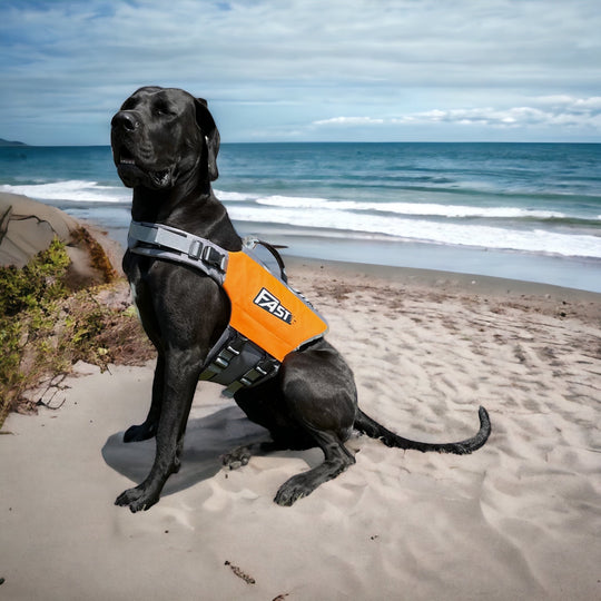SALE %%% Schwimmweste für Hunde