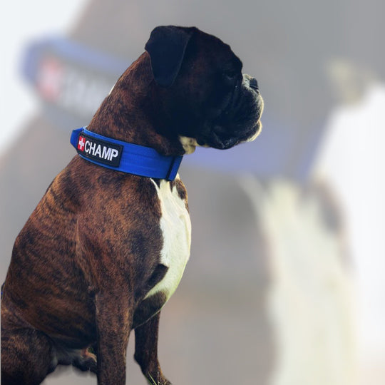 Patches gestickt personalisierbar