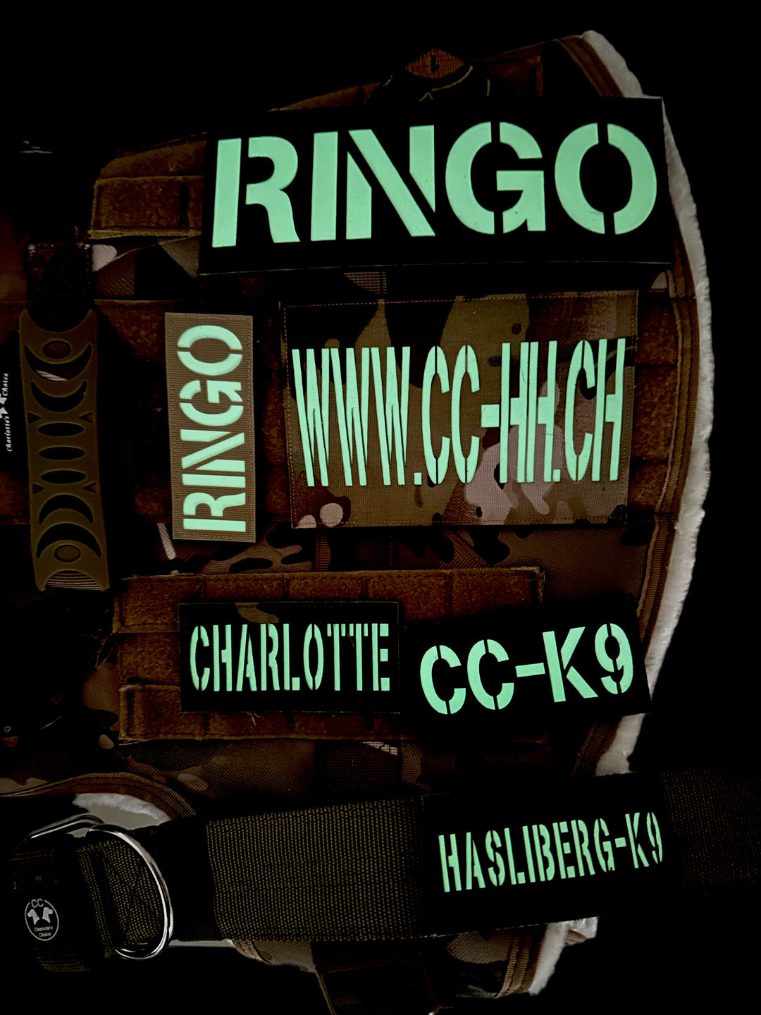 Ringo Halsband 5cm breit (38 cm-71 cm) - army-grün