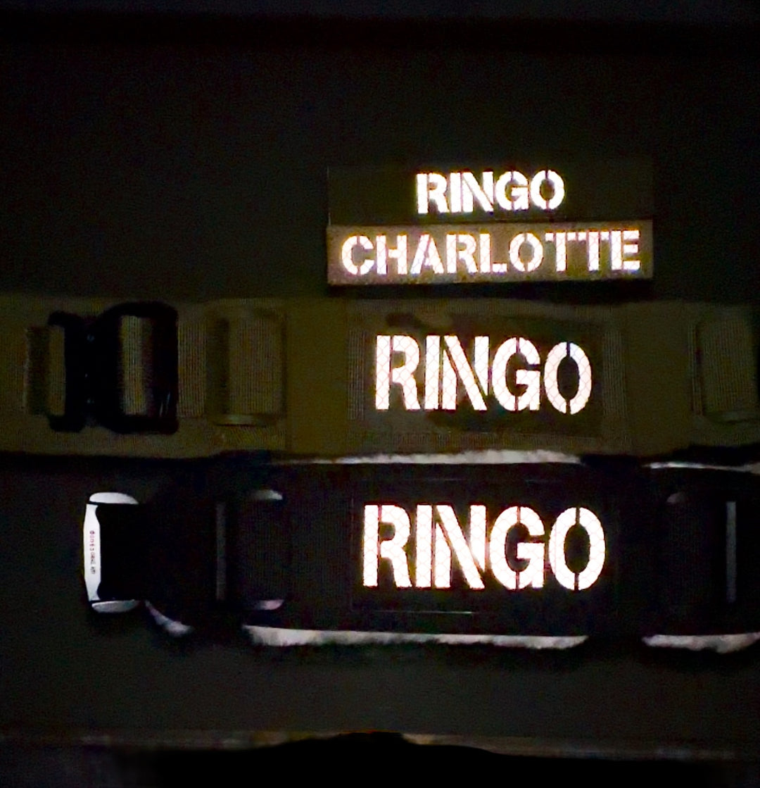 Ringo Halsband 5cm breit (38 cm-71 cm) - army-grün