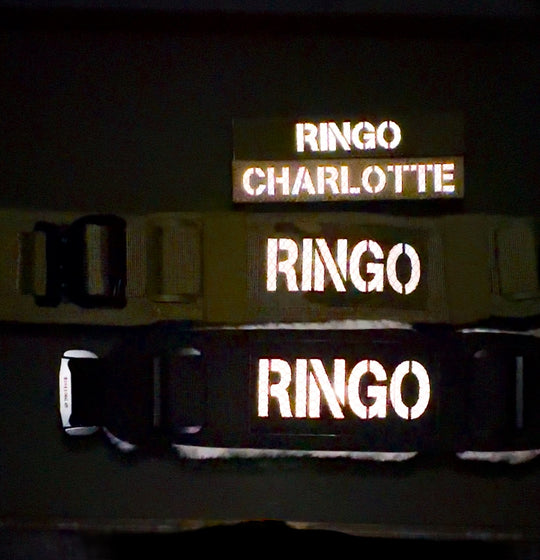 Ringo Halsband 5cm breit (38 cm-71 cm) - army-grün