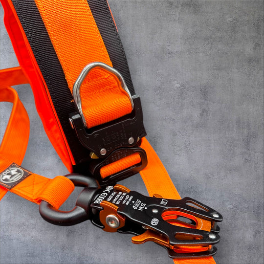 Luxus Heavy Duty Halsband 5 cm /7 cm/ 10 cm für grosse Hunde (zusätzliche Polster-Unterlage)