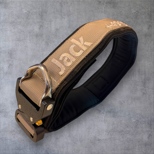 Luxus Heavy Duty Halsband 5 cm /7 cm/ 10 cm für grosse Hunde (zusätzliche Polster-Unterlage)