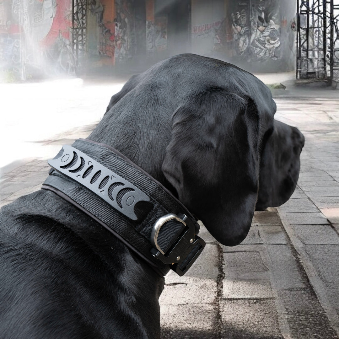 Halsband für Polizeihunde schwarz