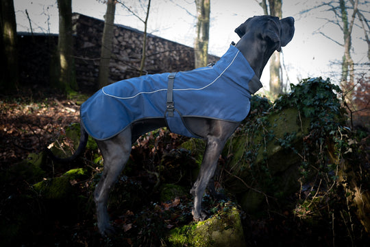 Entdecken Sie den ultraleichten, eleganten Sailor Hunderegenmantel für Frühling und Sommer. Wasserdicht, mit reflektierenden Elementen und weichem Fleece-Innenfutter. Perfekter Schutz für Ihren Hund. Schnalle Aluminium von Austrialpin.