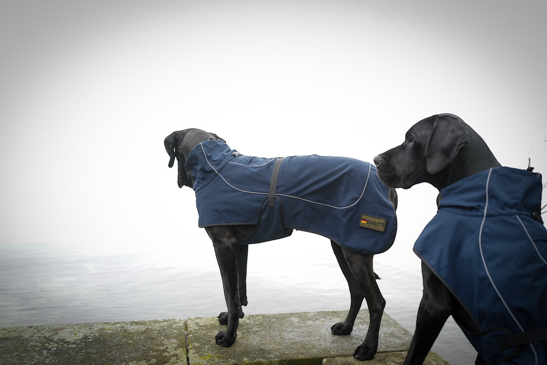 hundejacke grosse grössen in blau für mittlere bis sehr grosse Hunde