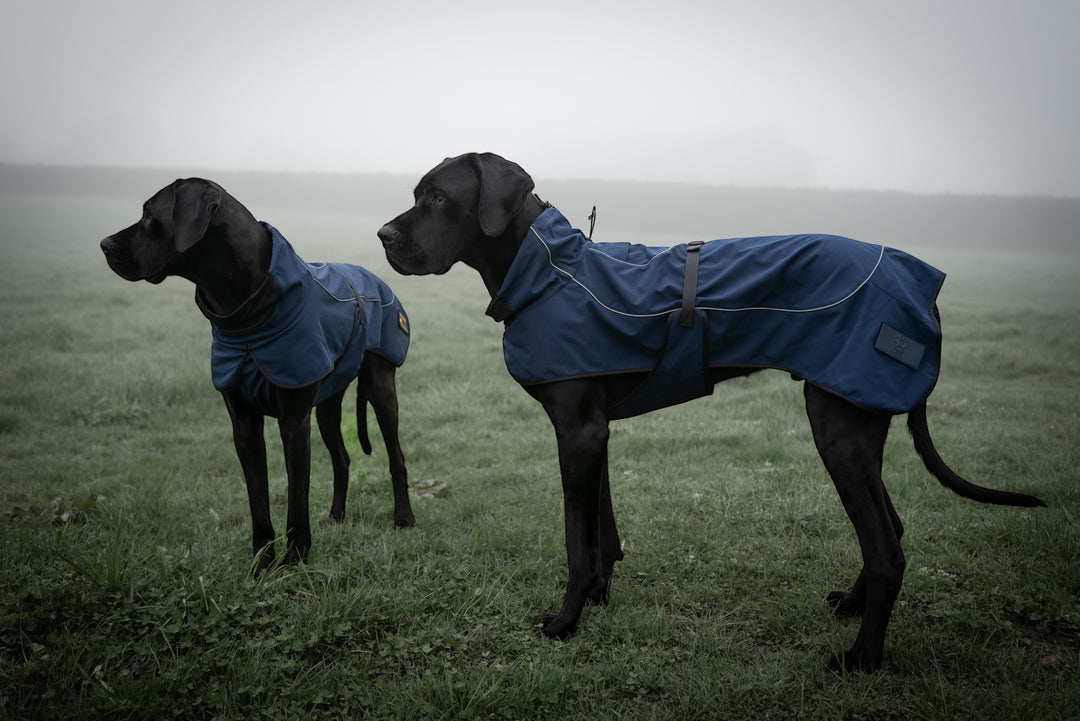 Hundemantel für deutsche dogge