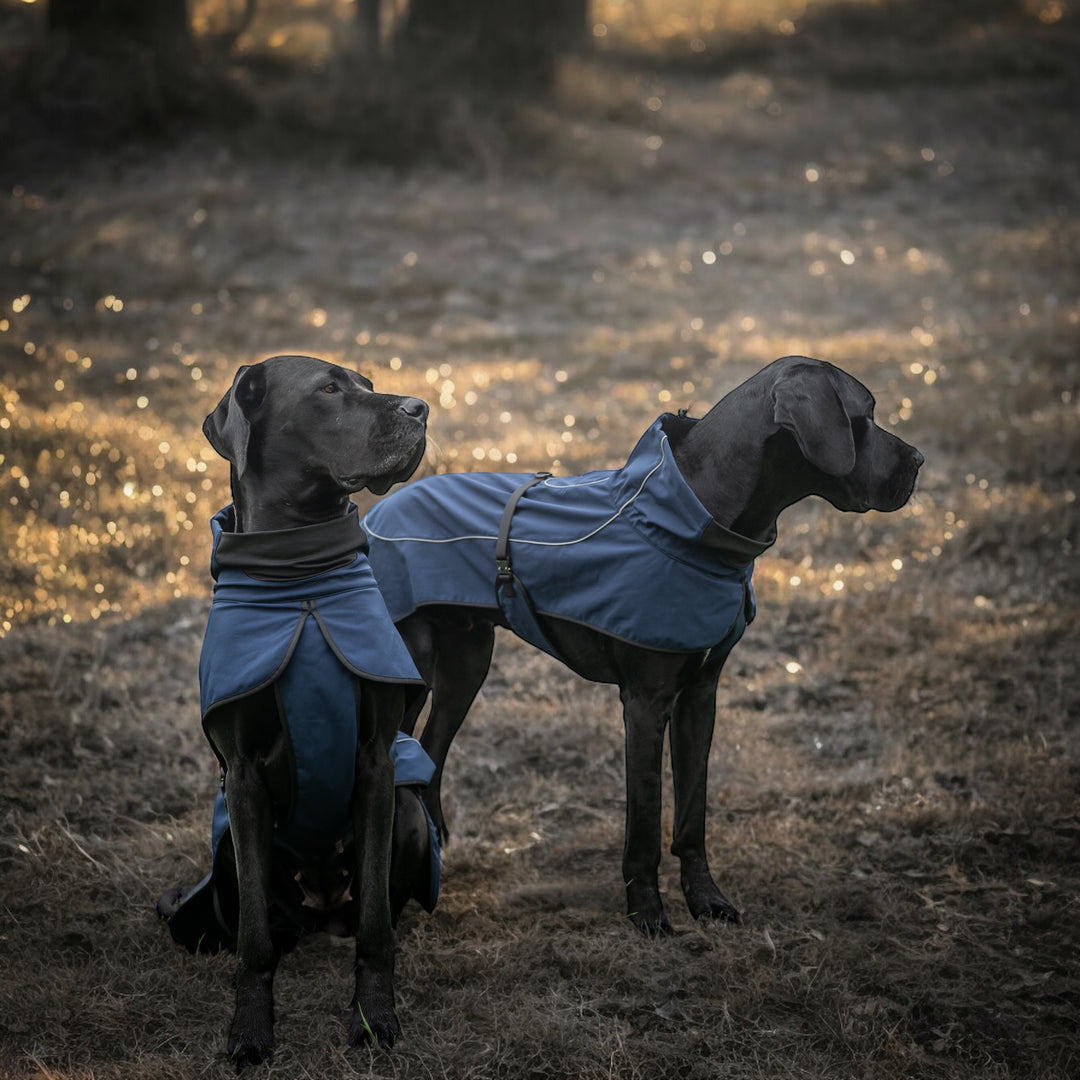 Ultraleichter Sailor Regenmantel in Navy-Dunkelblau für Hunde (bis 76 cm Rückenlänge) mit wasserdichtem Polyester, reflektierenden Elementen, verstellbarem Kragen, Bauchband mit Cobra-Schnalle und weichem Fleece-Innenfutter. Für grosse Hunde.