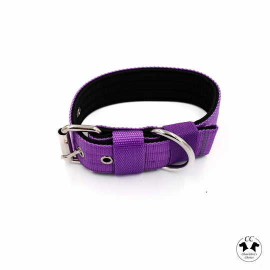 Walker 4 cm breit Grösse S-XL (33 cm-66 cm)