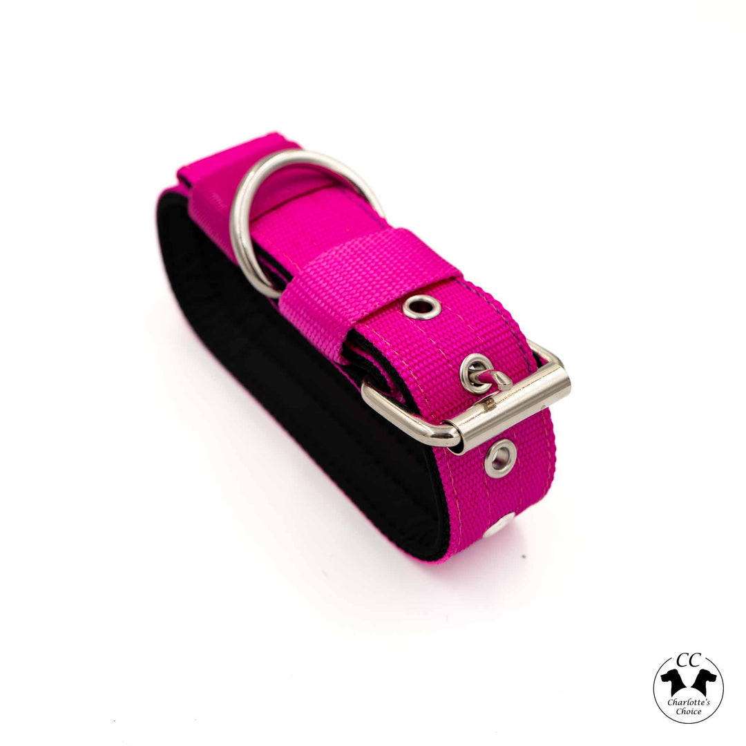 Walker 4 cm breit Grösse S-XL (33 cm-66 cm)