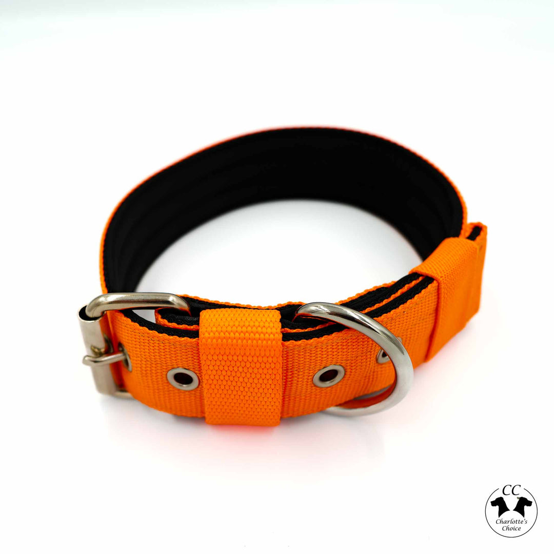 Walker 4 cm breit Grösse S-XL (33 cm-66 cm)