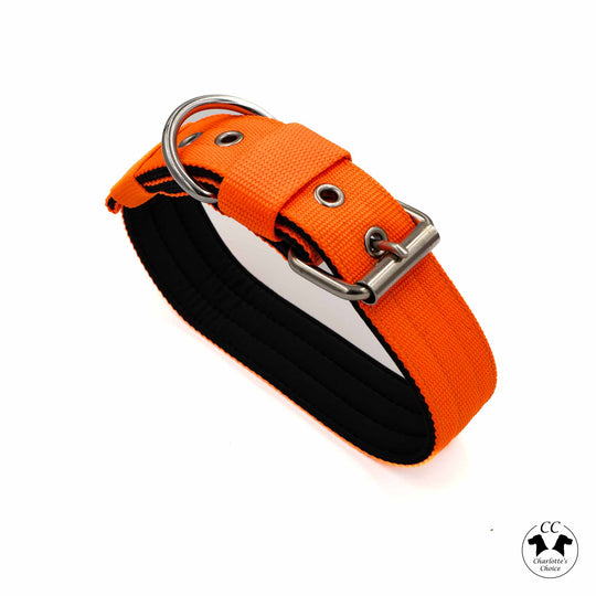 Walker 4 cm breit Grösse S-XL (33 cm-66 cm)