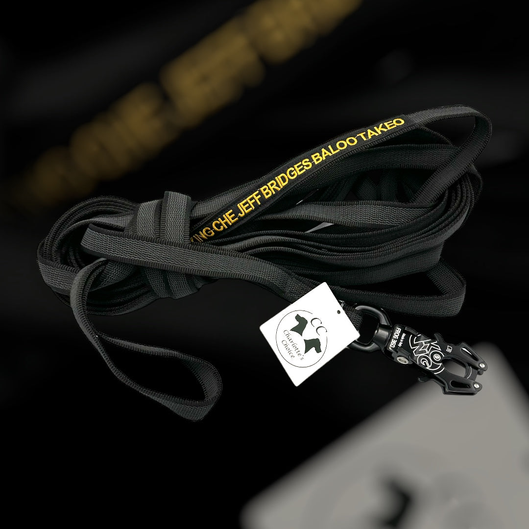Gummierte Leine 2.5 cm mit Frog 360-Karabiner 1/2/3/5/10/15 m mit Schlaufen