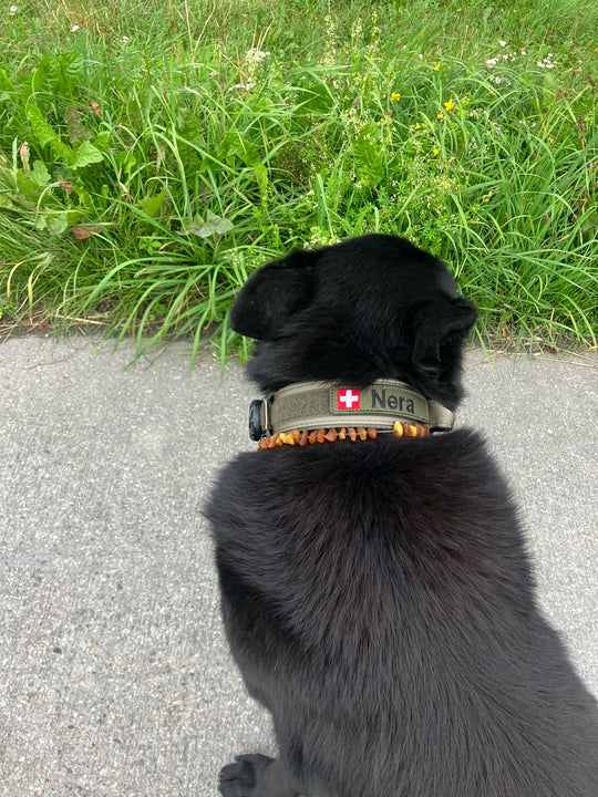 Patches gestickt personalisierbar