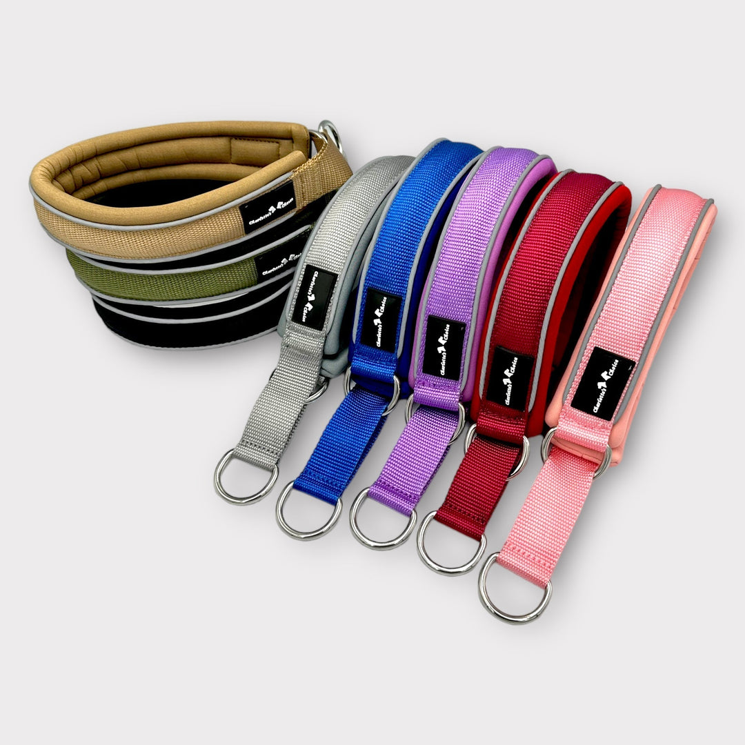 Leinenführigkeit trainieren Halsband