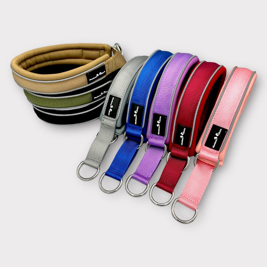 Leinenführigkeit trainieren Halsband