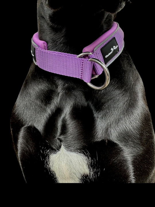 Luxus Halsband grosse Hunde