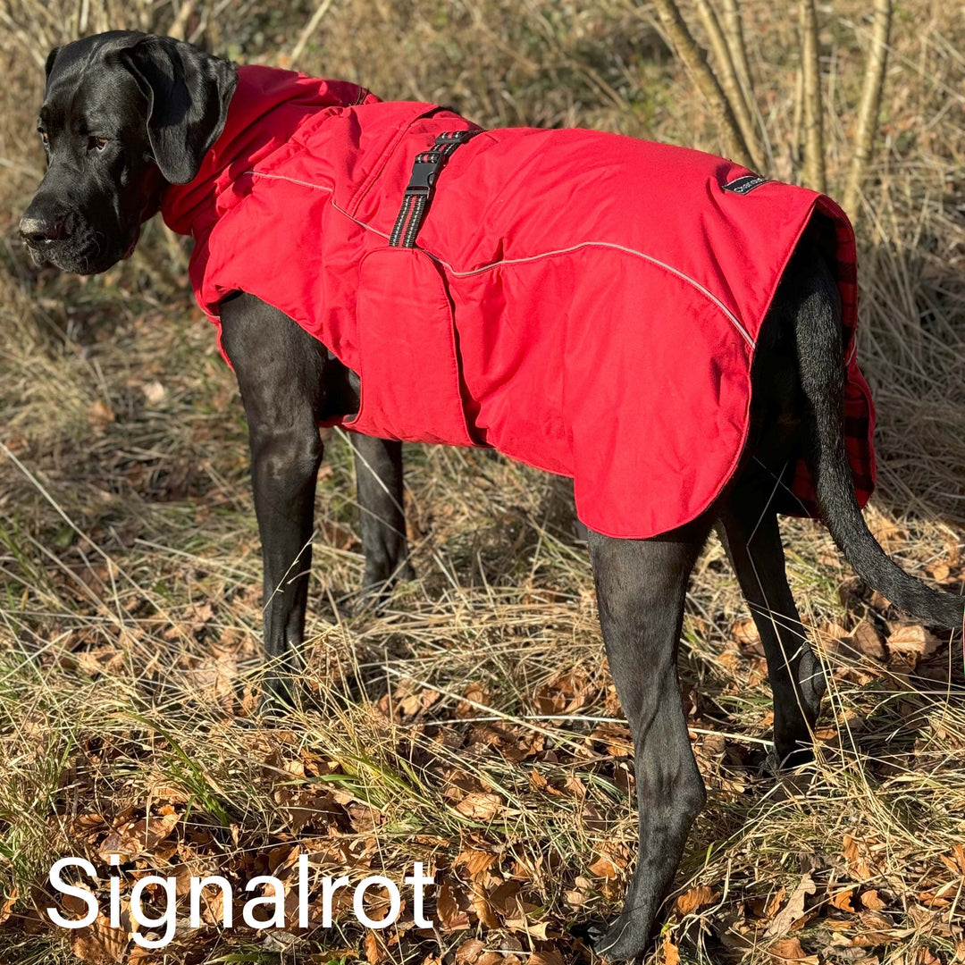 Hundemantel für Winter Mastiff