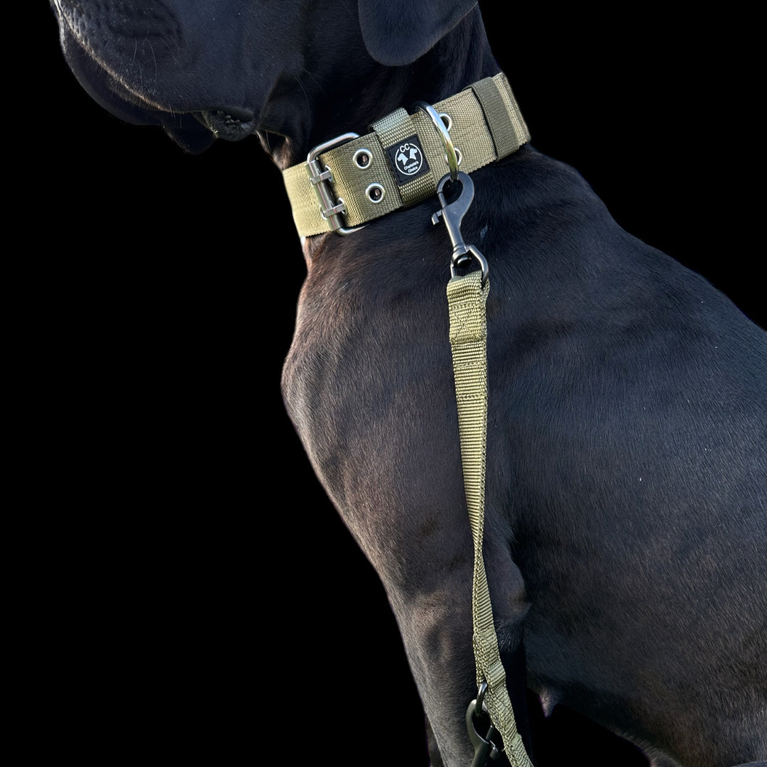 Ringo Halsband 5cm breit (38 cm-71 cm) - army-grün