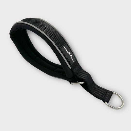 Halsband reflektierend Hund