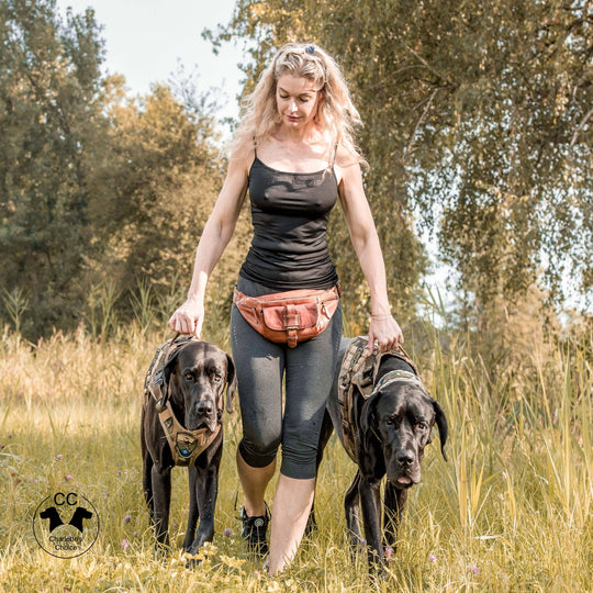 Alltrail CC-K9 Eco light Hundegeschirr - army-grün SALE % M & XL