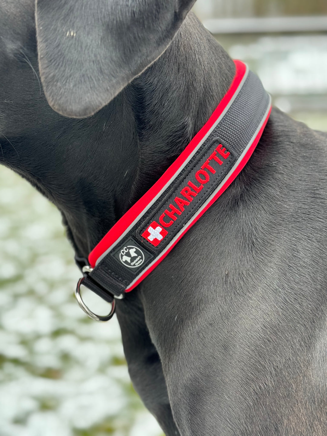 Comfo-Zugstopp 4 cm breit (34 cm-65 cm multicolor (Patch personalisierbar)