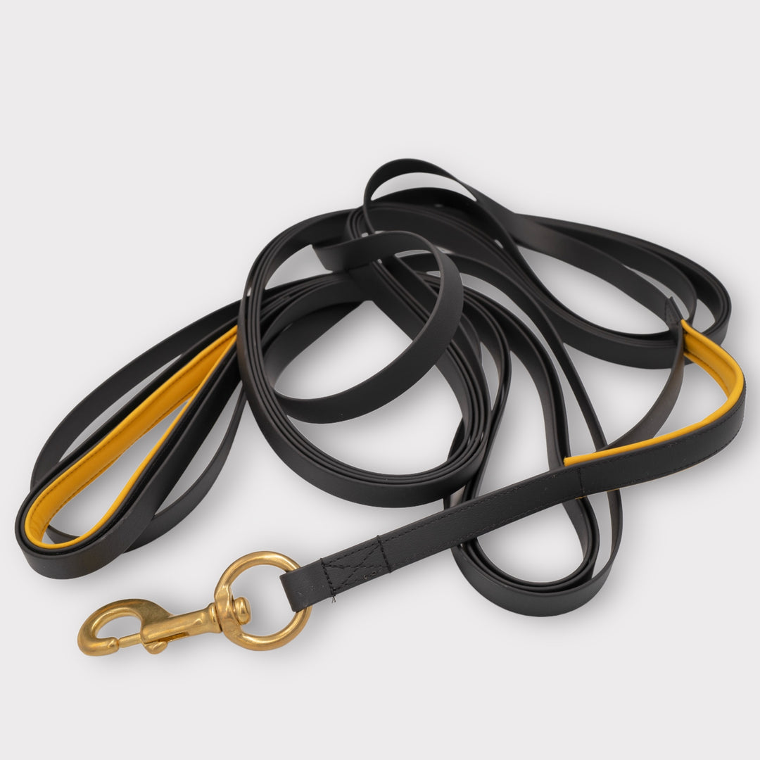 Biothane Laufleine 1 m/ 2 m/ 3 m/ 10 m Länge - 2 cm Breite mit grossem Messing Karabiner