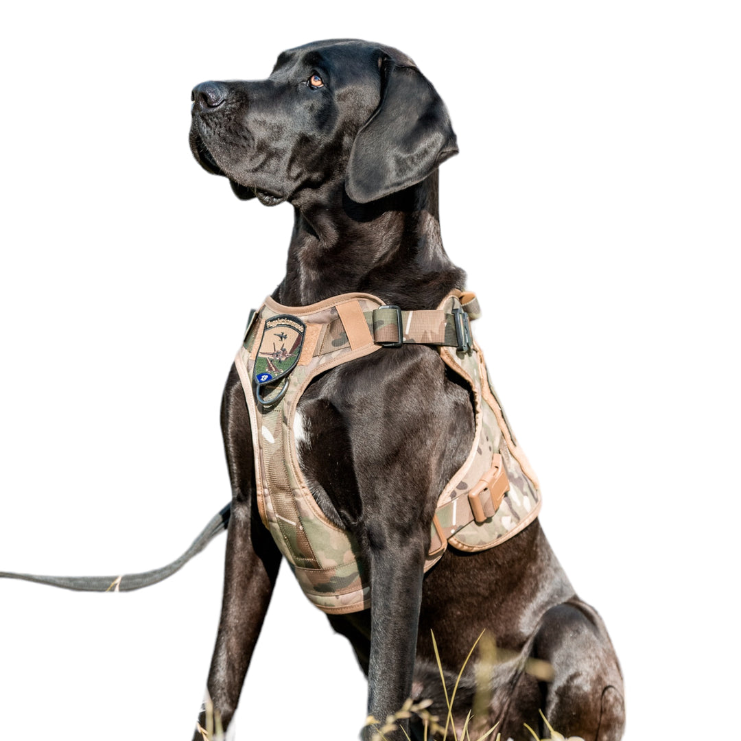 Alltrail CC-K9 Eco light Hundegeschirr - schwarz