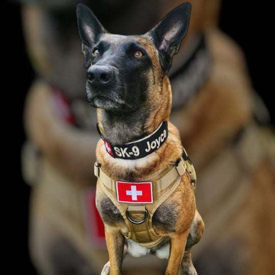 Alltrail CC-K9 Eco light Hundegeschirr - army-grün SALE % M & XL