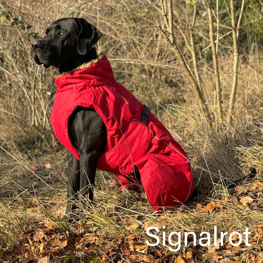 Hundemantel Deutsche Dogge