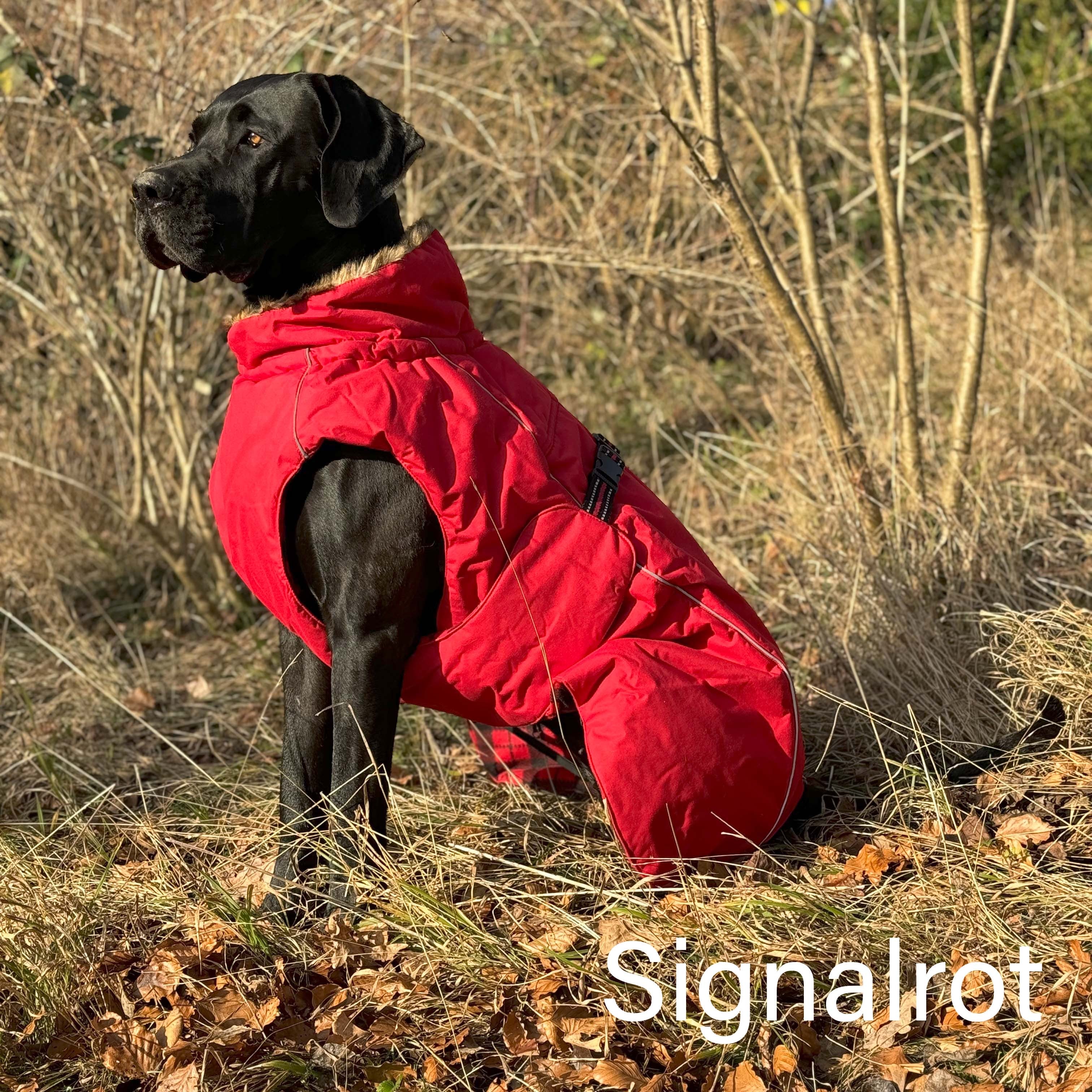 Hundemantel Deutsche Dogge
