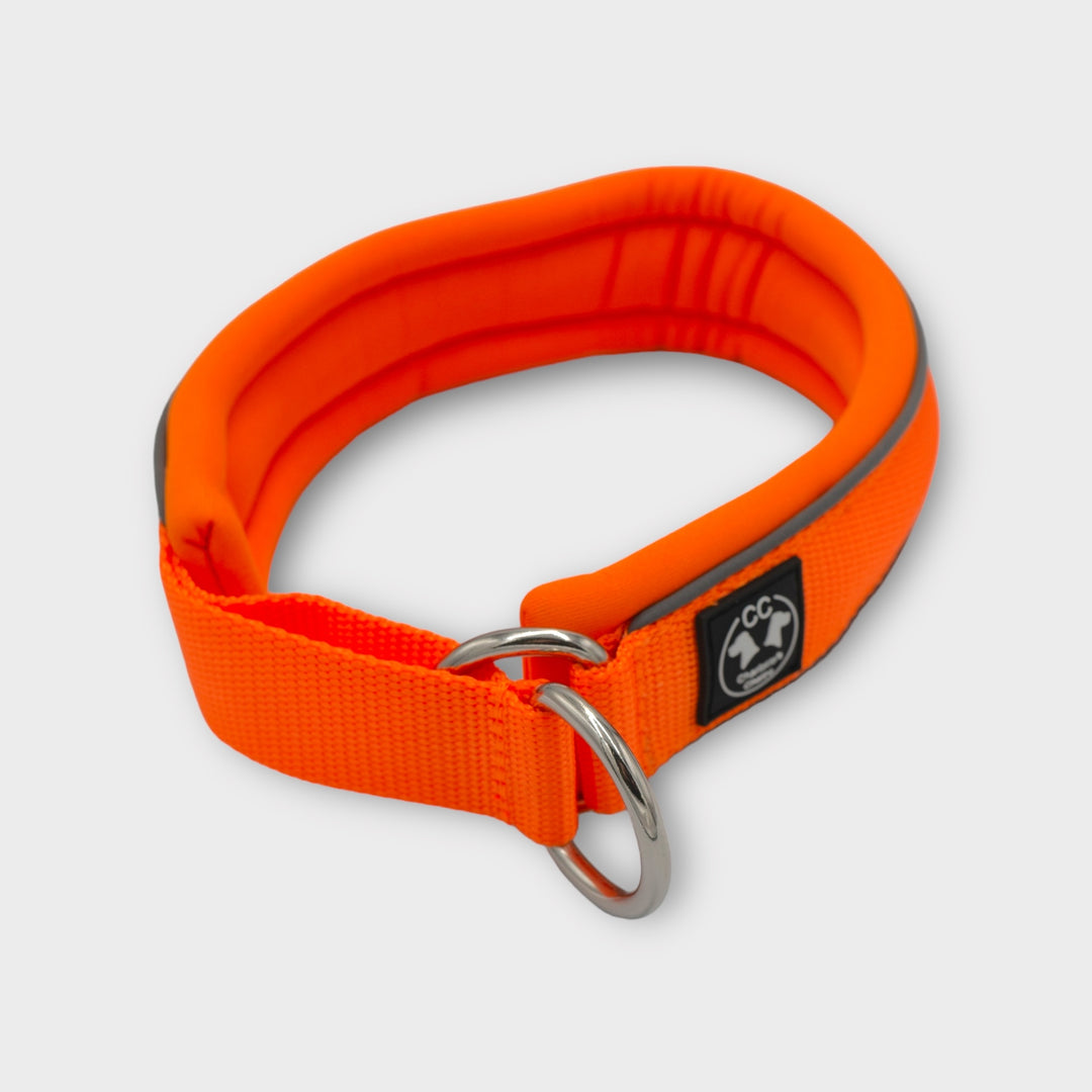 Leuchthalsband grosse Hunde