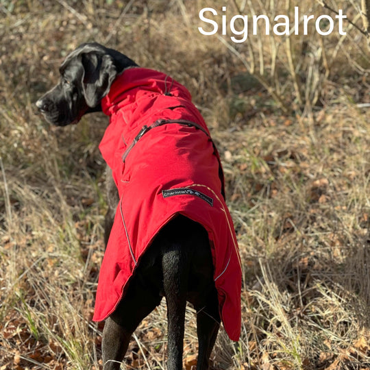 Hundemantel warm grosse Hunde